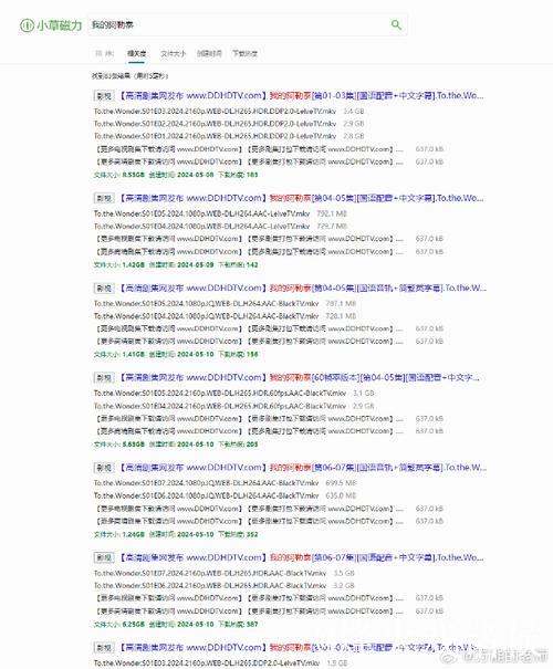 免费在线磁力搜索引擎推荐大全