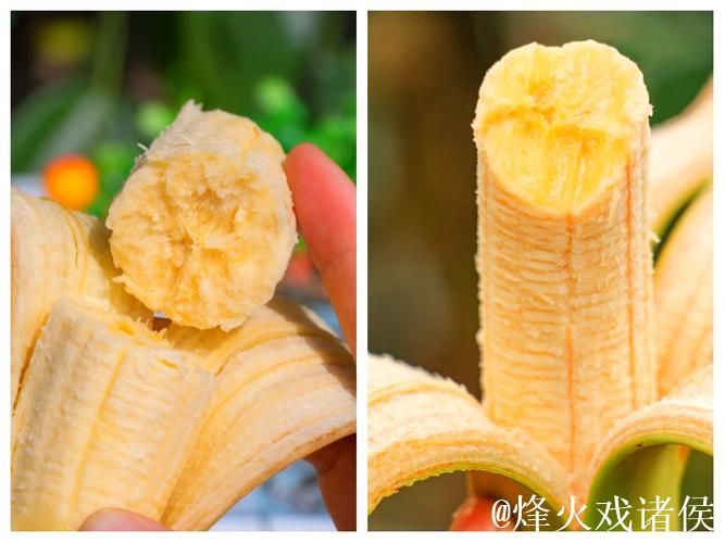 1024香蕉视频